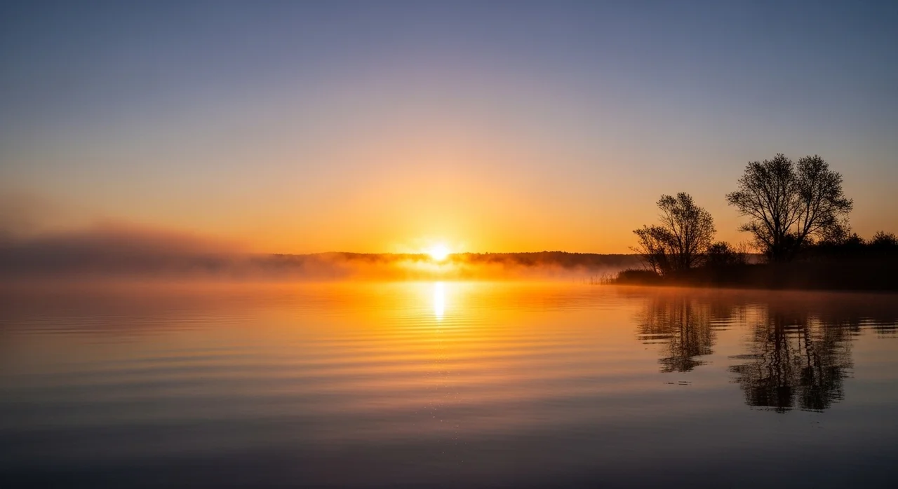 왜 우리는 '편안해지는 문장'을 찾는가?
