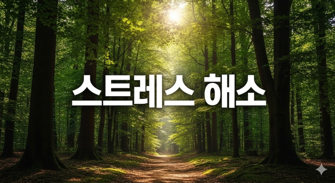 스트레스 해소법 BEST 7: 과학적으로 입증된 마음 관리 가이드