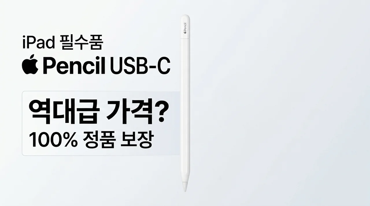 아이패드 필수템 Apple Pencil USB-C, 정품인데 가격까지 역대급?