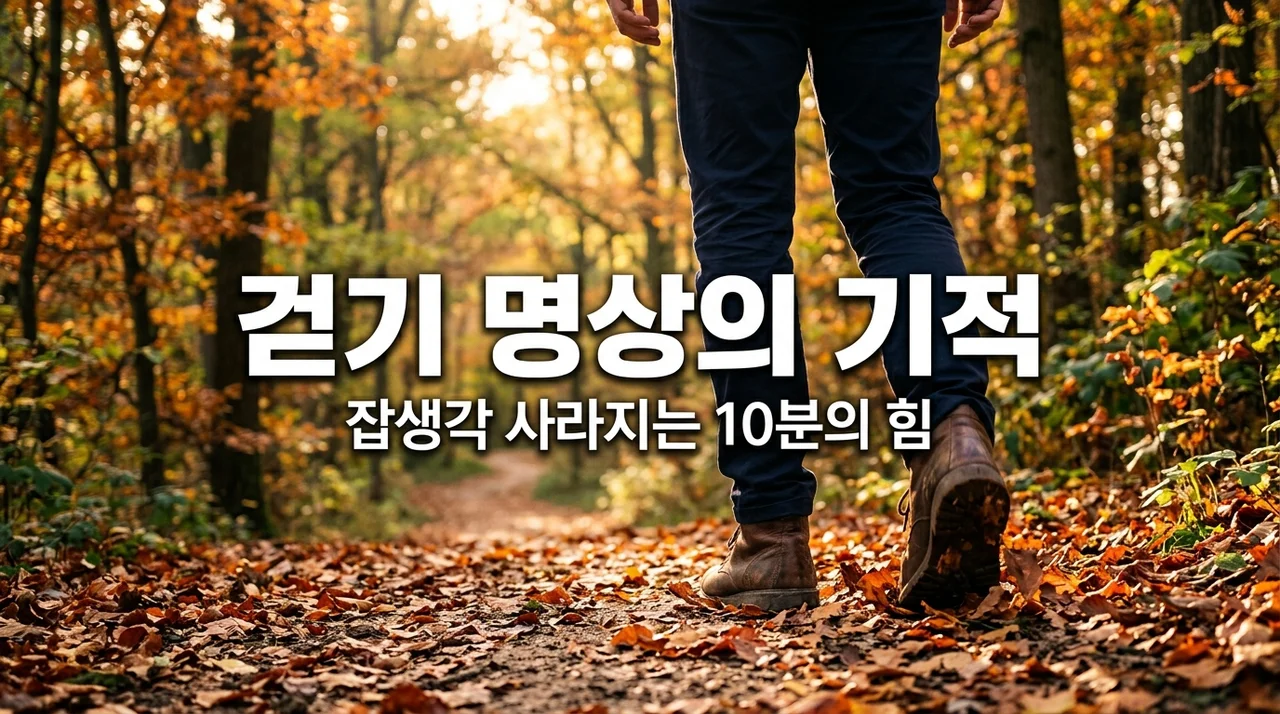 걷기 명상 효과와 방법: 잡생각 없애고 집중력 2배 높이는 비결