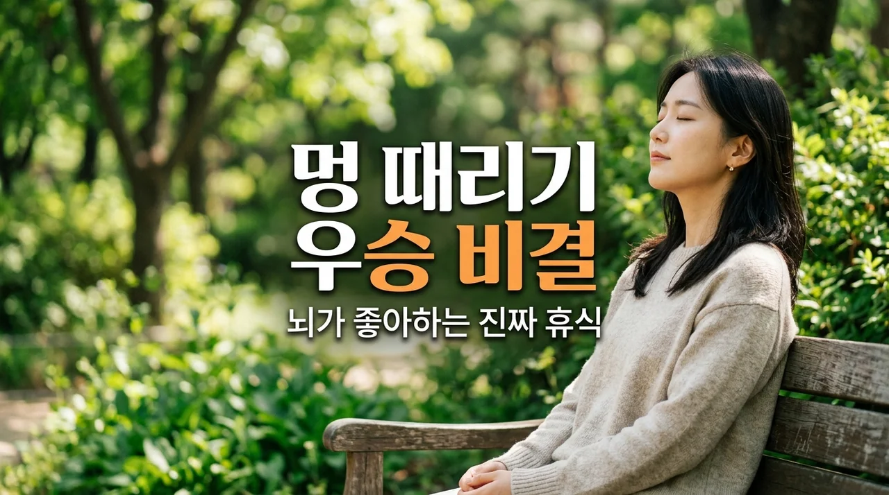 멍 때리기 대회 우승자 비결? 2026년 뇌가 좋아하는 진정한 휴식법