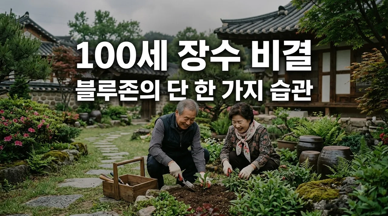 장수 마을 블루존의 공통점 9가지, 100세 건강을 결정하는 단 한 가지 습관?