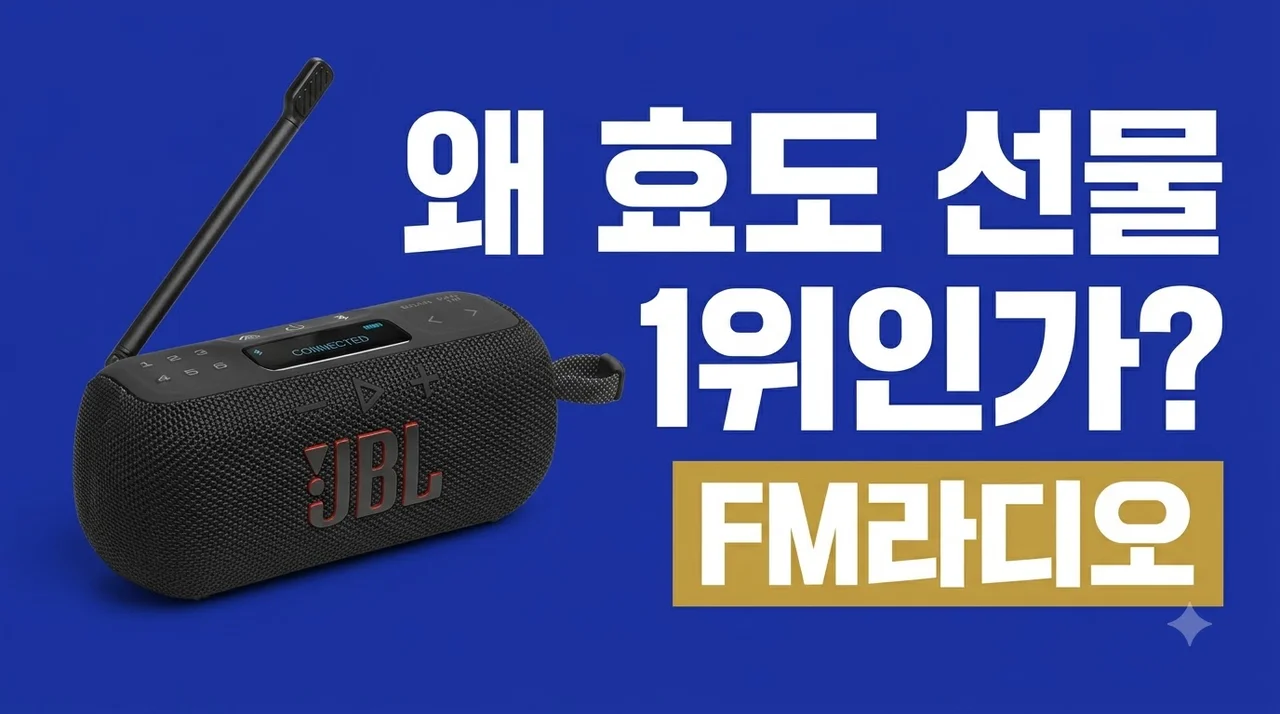 JBL TUNER3 FM라디오 블루투스 스피커, 효도 선물 1위인 이유
