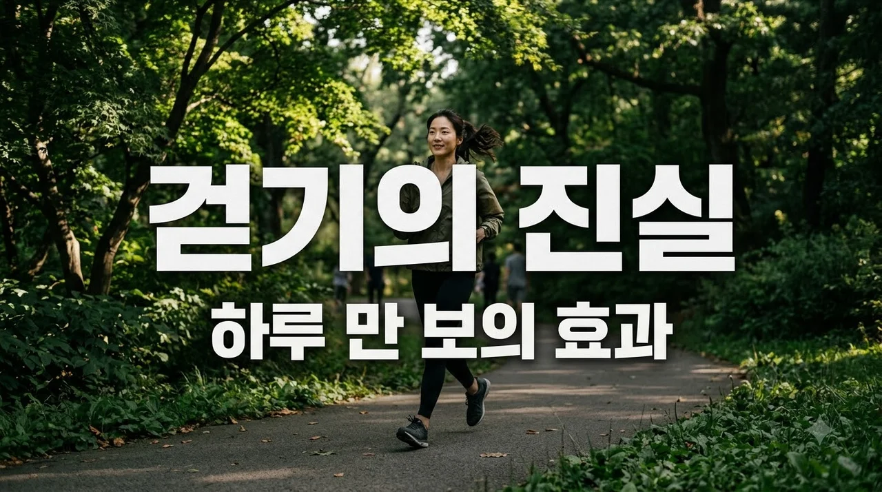 걷기 운동의 놀라운 효과 7가지와 하루 만 보 건강의 진실 총정리