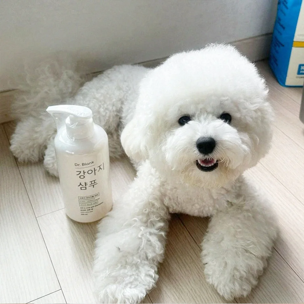 닥터블랭크 저자극 올인원 강아지 샴푸 새끼강아지 보습 목욕 베이비파우더, 500ml, 1개 상세 이미지 5