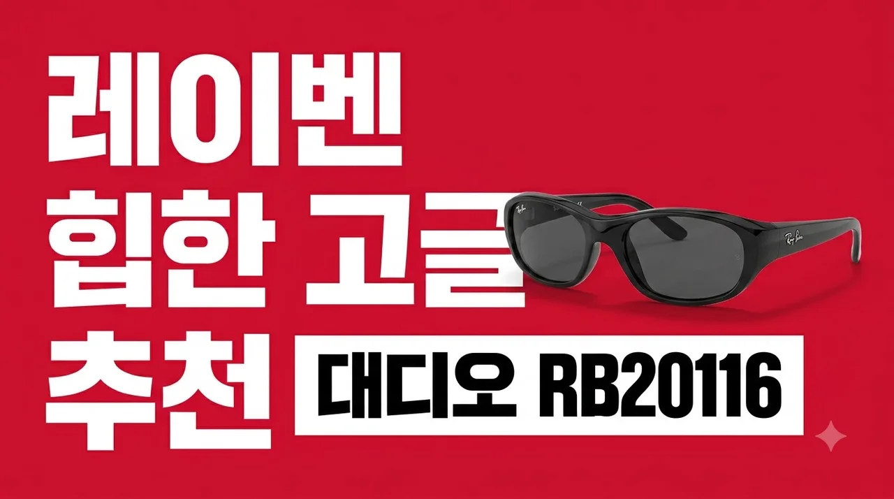 레이벤 선글라스 대디오 RB2016 힙한 고글 추천