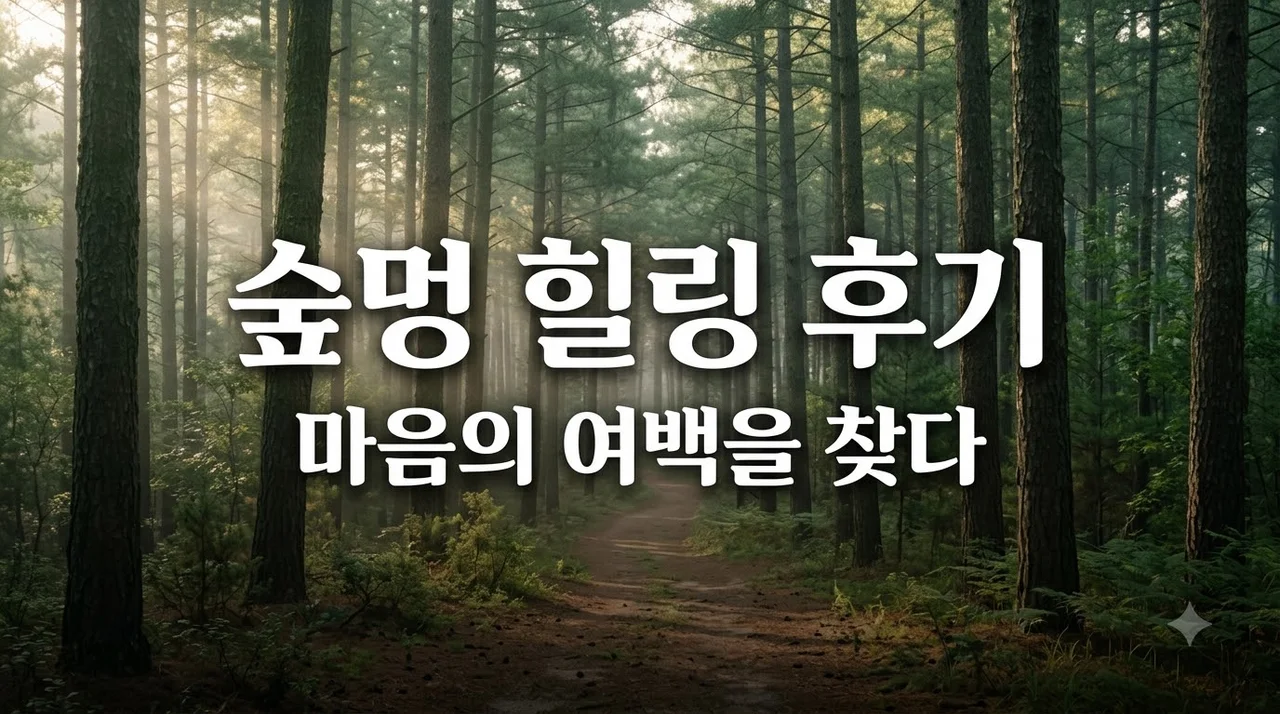 숲멍 후기, 요가 대신 떠난 숲 치유에서 인생 좌우명 찾은 이야기