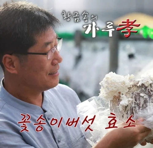 발효 꽃송이버섯 효소 꽃송이 현미 영양제 경신바이오 스틱형 405g 90포, 1개 [원산지:국산] 상세 이미지 3