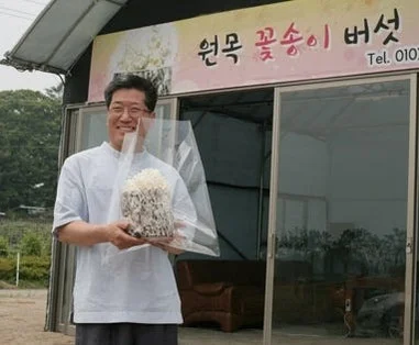 발효 꽃송이버섯 효소 꽃송이 현미 영양제 경신바이오 스틱형 405g 90포, 1개 [원산지:국산] 상세 이미지 8
