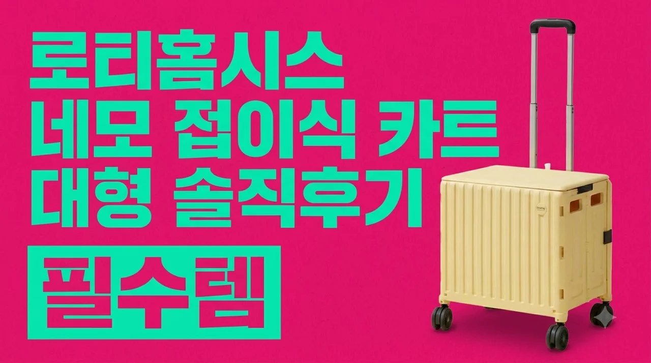 로티홈시스 네모 접이식 카트 L 대형 솔직후기