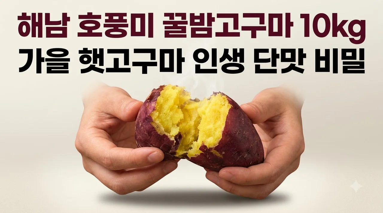 해남 호풍미 꿀밤고구마 10kg 가을 햇고구마 인생 단맛 비밀