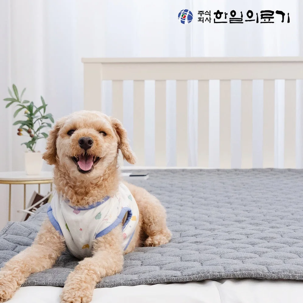 한일의료기 탄소매트 전기매트 온열매트 전자파없는 1인용 전기장판 캠핑 전기요 싱글 프리즘 상세 이미지 3